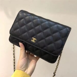 Smart Luxury 1:1 Timeless Classic WOC 19x13x3cm