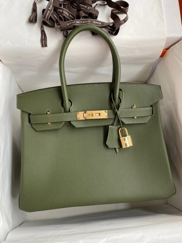 AAA+ Birkin 30