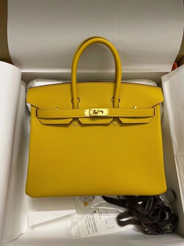 AAA+ Birkin 30