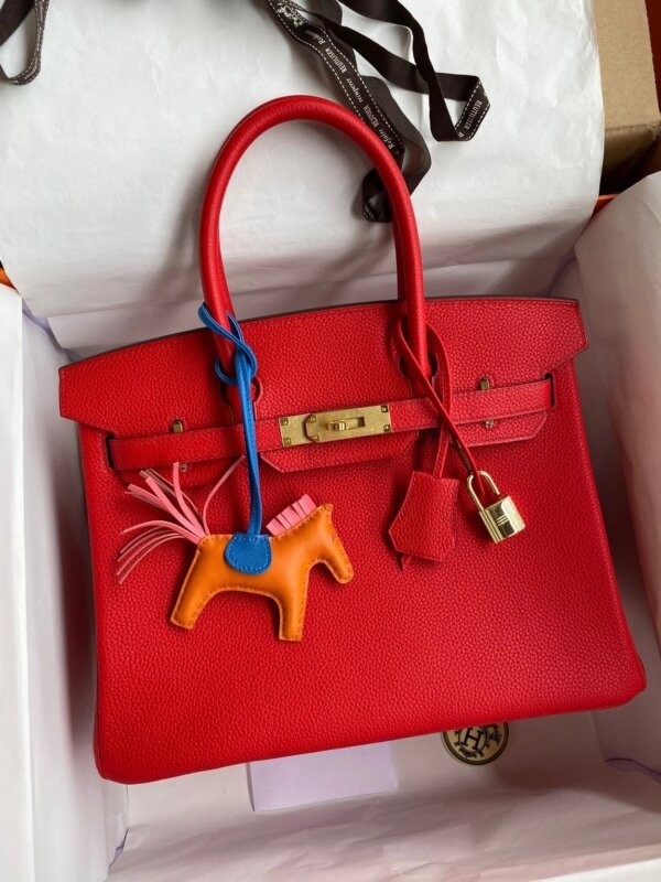 AAA+ Birkin 30
