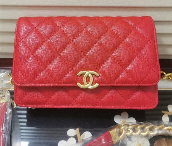 Smart Luxury 1:1 Wallet on Chain (WOC) Caviar 19x12cm